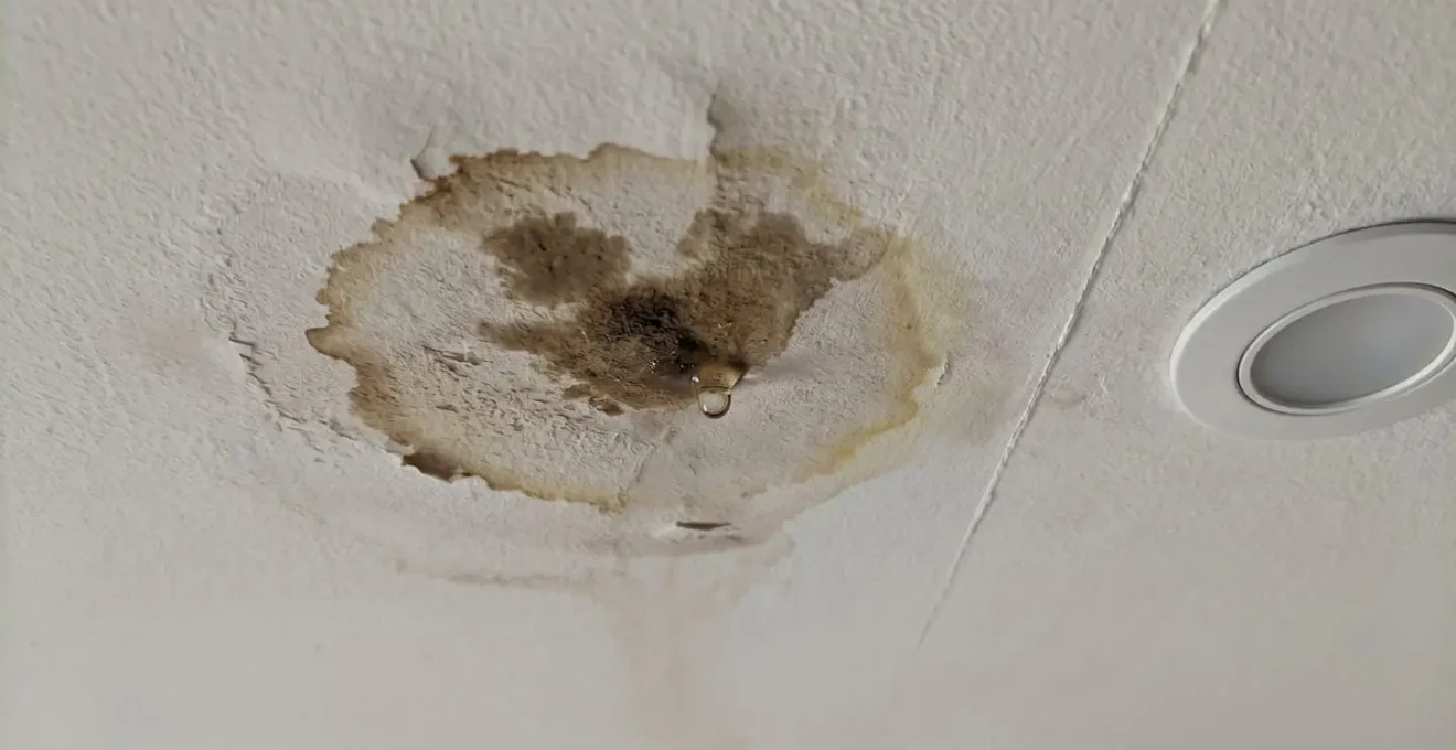 Gros plan sur une infiltration d'eau au plafond avec tache brune s'étendant et goutte d'eau se formant
